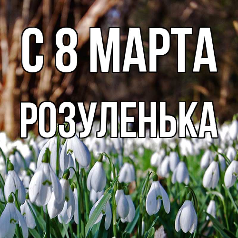 Картинка C 8 МАРТА, Розуленька