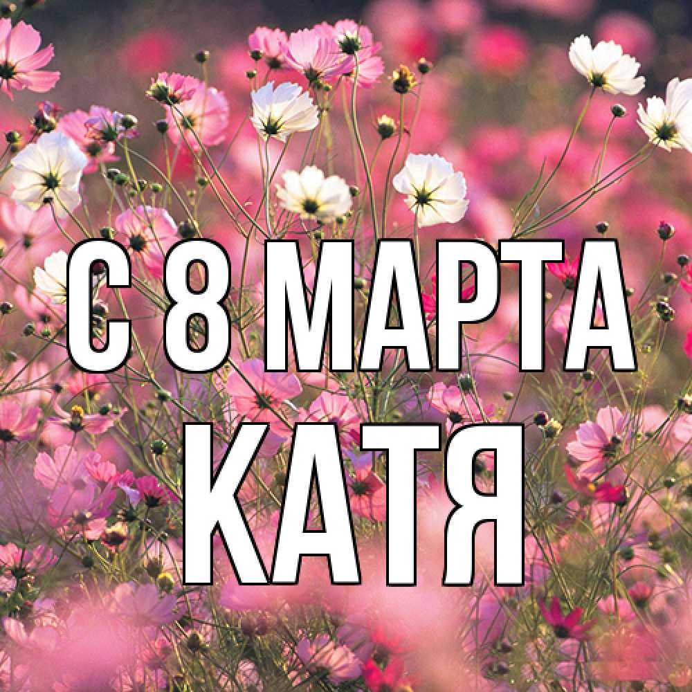Открытка на каждый день с именем, Катя C 8 МАРТА красиво 1 Прикольная открытка с пожеланием онлайн скачать бесплатно 