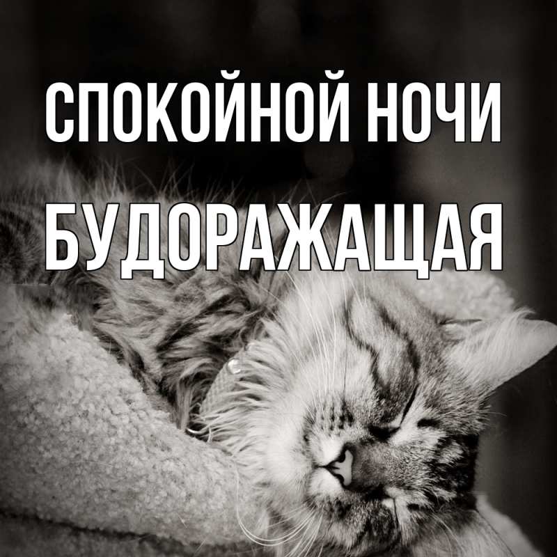 Картинка Спокойной ночи, будоражащая