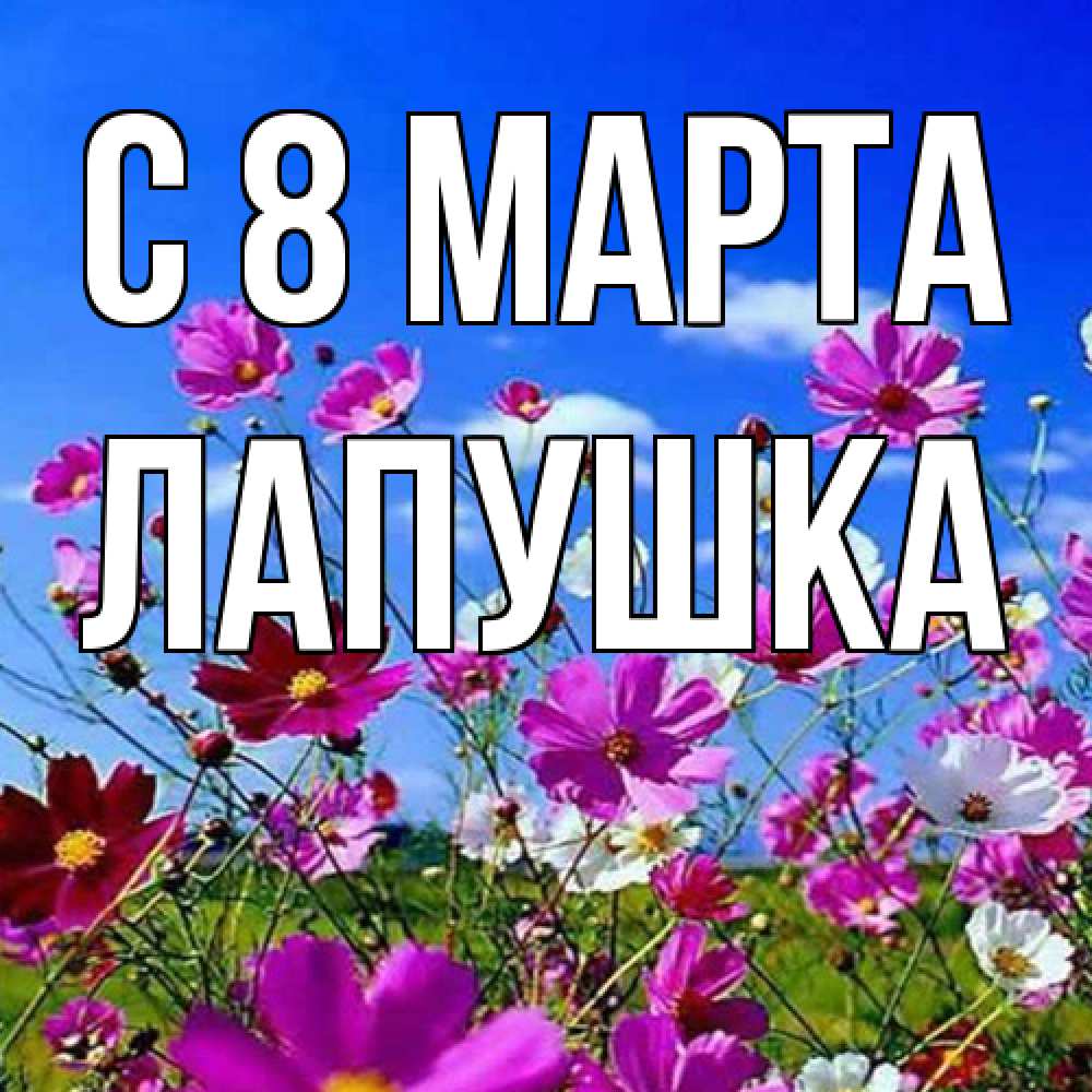 Открытка на каждый день с именем, лапушка C 8 МАРТА цветы Прикольная открытка с пожеланием онлайн скачать бесплатно 