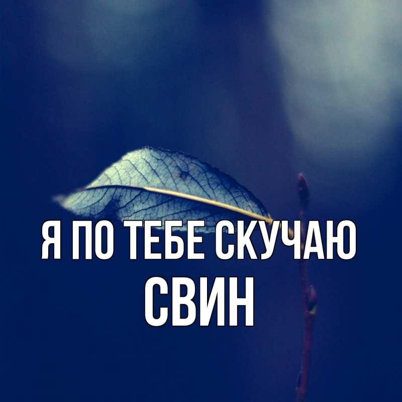 Картинка Я по тебе скучаю, Свин