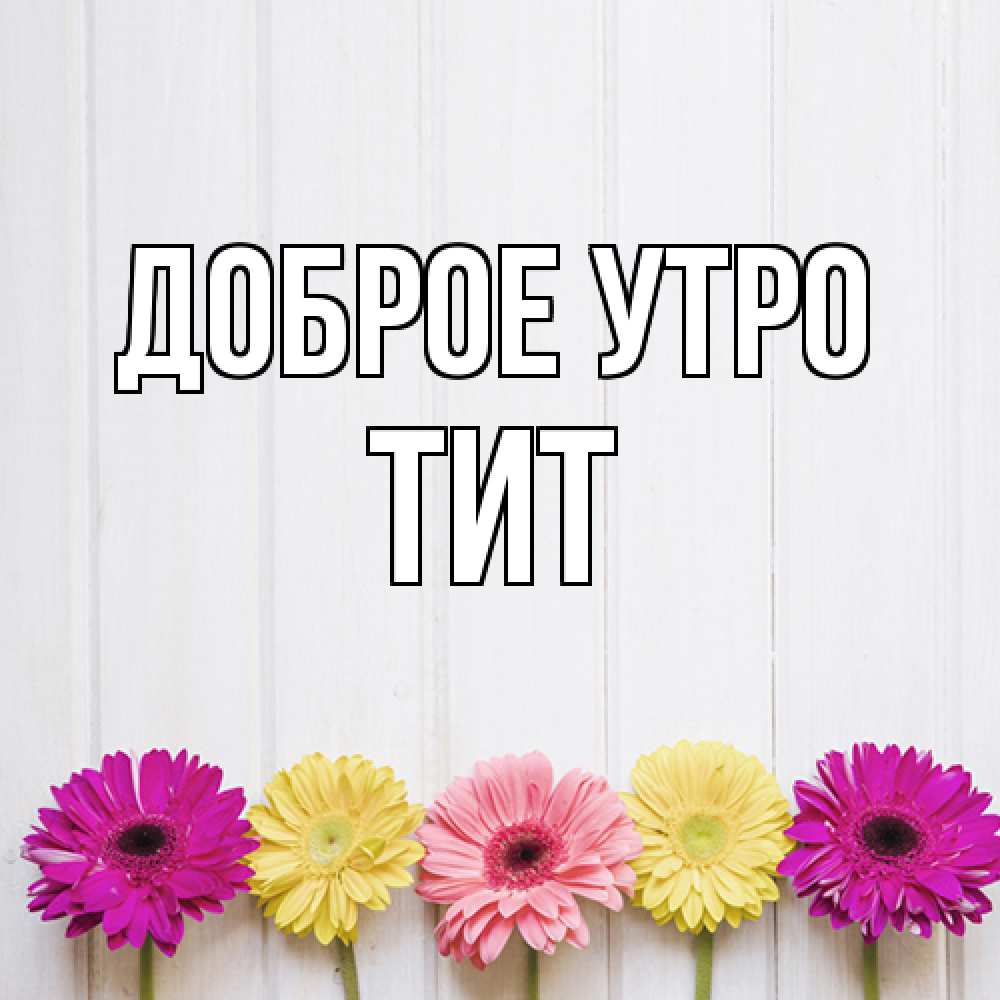 Открытка на каждый день с именем, Тит Доброе утро красный желтый и розовый цветок Прикольная открытка с пожеланием онлайн скачать бесплатно 