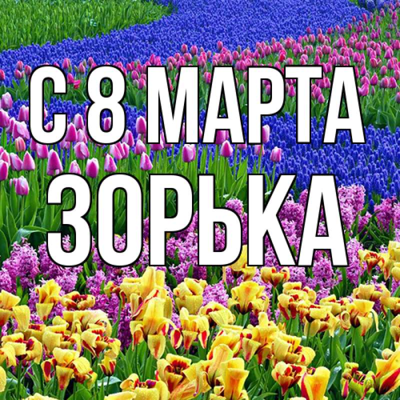 Картинка C 8 МАРТА, Зоpька