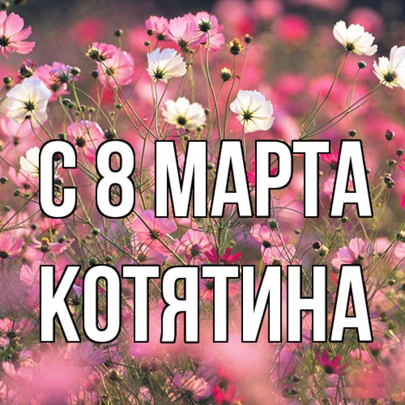 Картинка C 8 МАРТА, Котятина