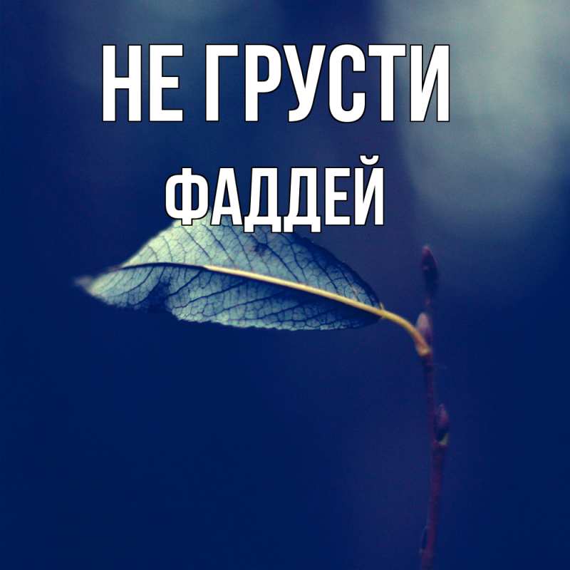 Картинка Не грусти, Фаддей