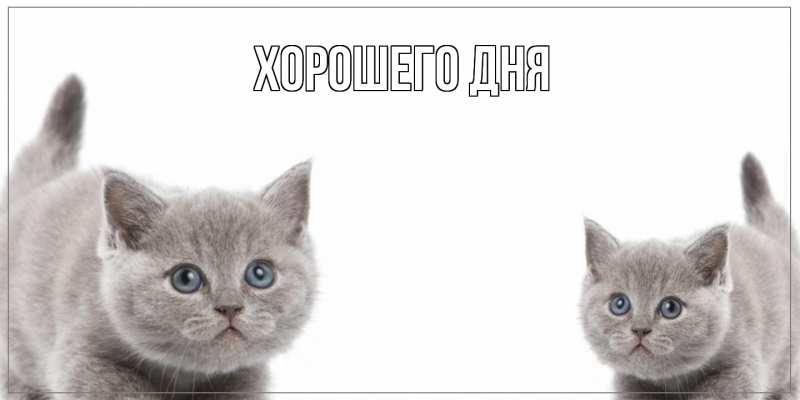 Картинка Хорошего дня, 