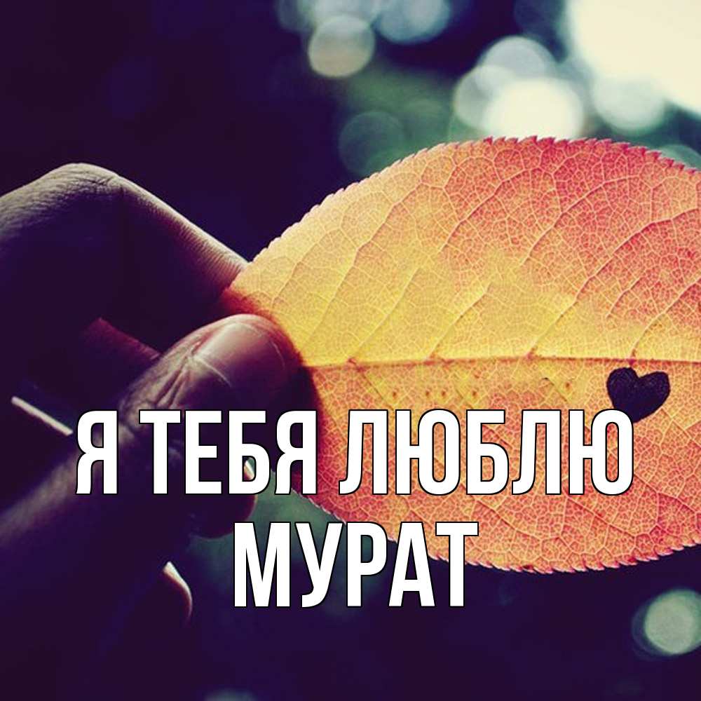 Открытка на каждый день с именем, Мурат Я тебя люблю держу лист Прикольная открытка с пожеланием онлайн скачать бесплатно 