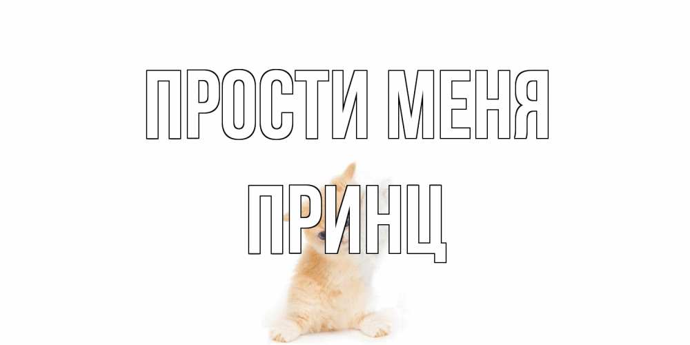 Открытка на каждый день с именем, Принц Прости меня кот Прикольная открытка с пожеланием онлайн скачать бесплатно 