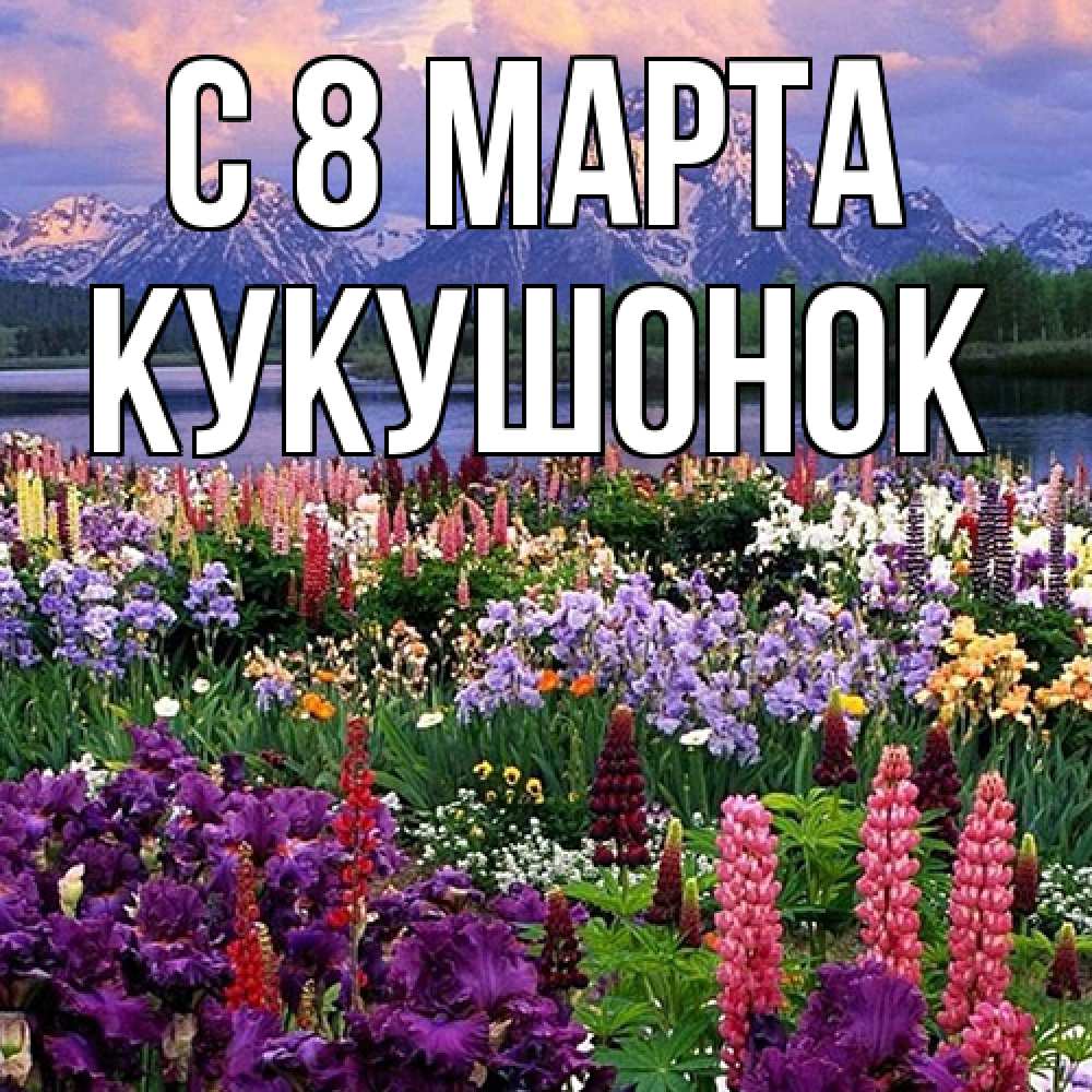 Открытка на каждый день с именем, кукушонок C 8 МАРТА международный женский день Прикольная открытка с пожеланием онлайн скачать бесплатно 