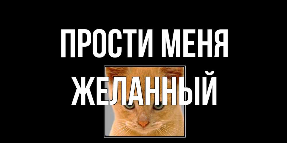 Открытка на каждый день с именем, Желанный Прости меня рыжий грустный кот просит прощения Прикольная открытка с пожеланием онлайн скачать бесплатно 