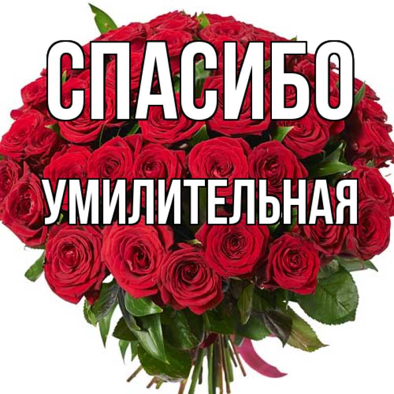 Картинка Спасибо, умилительная