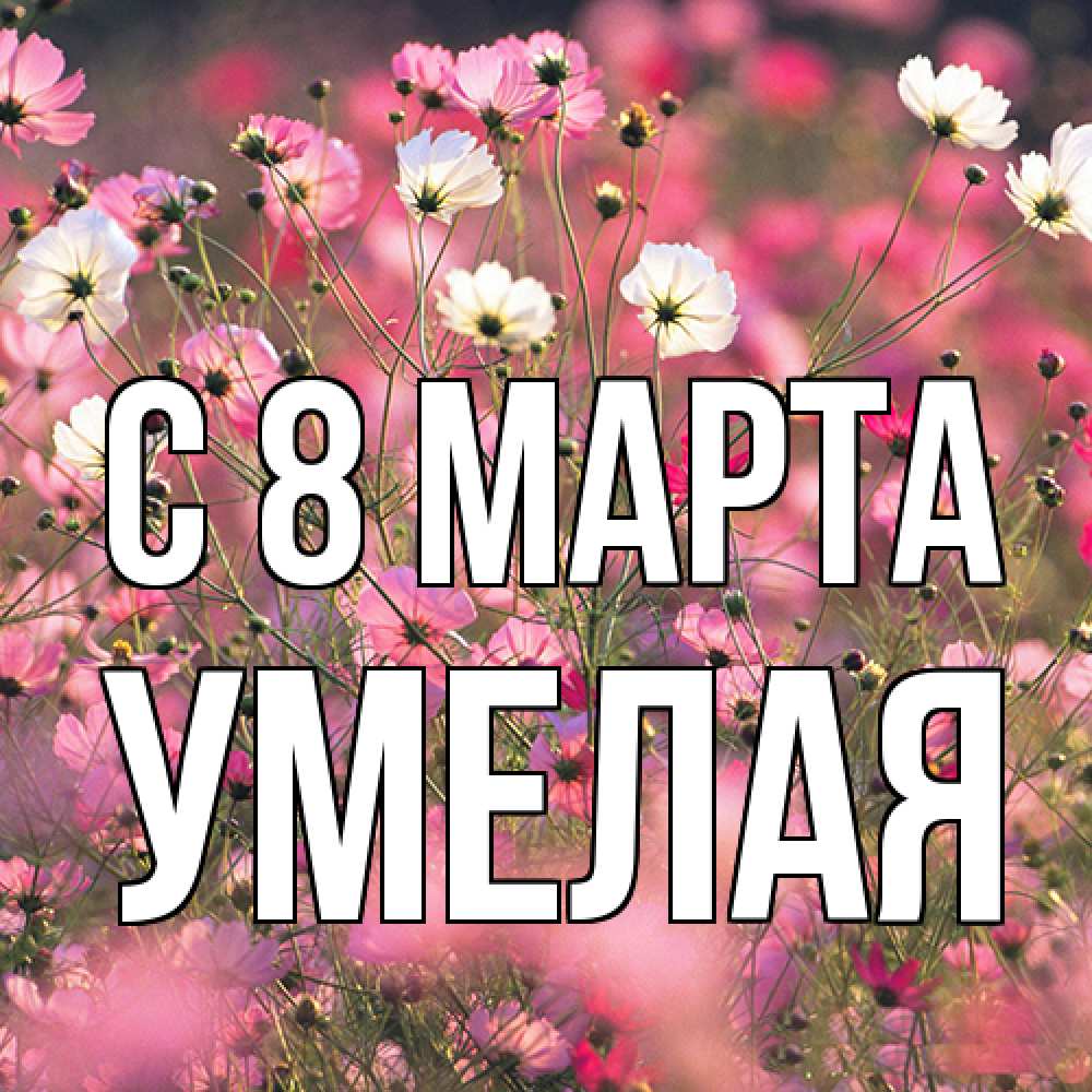 Открытка на каждый день с именем, Умелая C 8 МАРТА красиво 1 Прикольная открытка с пожеланием онлайн скачать бесплатно 