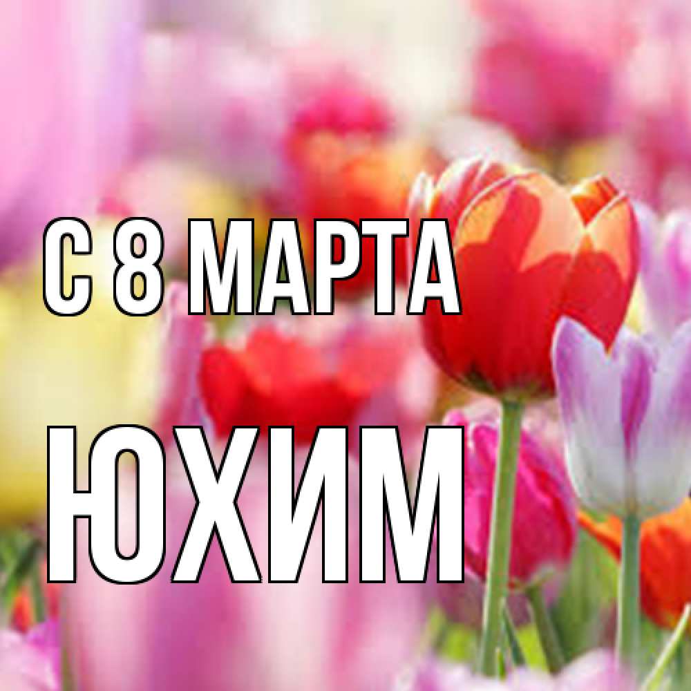 Открытка на каждый день с именем, Юхим C 8 МАРТА на международный женский день 2 Прикольная открытка с пожеланием онлайн скачать бесплатно 
