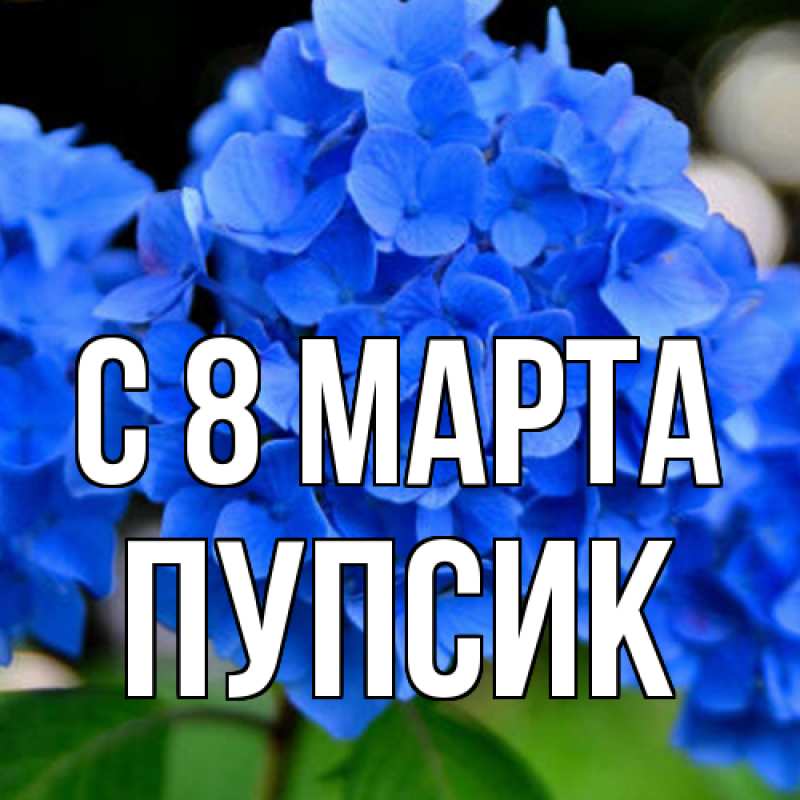 Картинка C 8 МАРТА, пупсик
