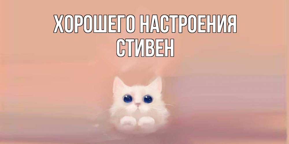 Открытка на каждый день с именем, Стивен Хорошего настроения кошка Прикольная открытка с пожеланием онлайн скачать бесплатно 
