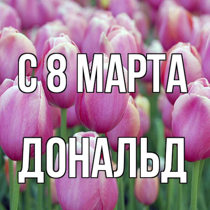 Картинка C 8 МАРТА, Дональд