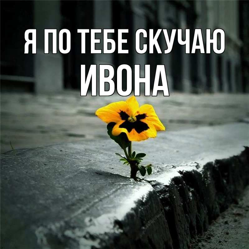 Картинка Я по тебе скучаю, Ивона