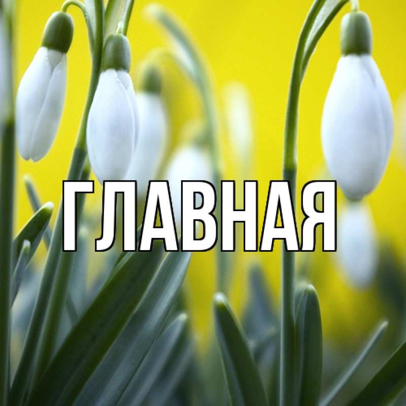 Картинка  с именем , настя