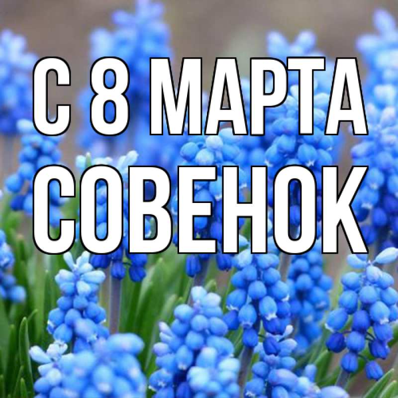 Картинка C 8 МАРТА, совенок