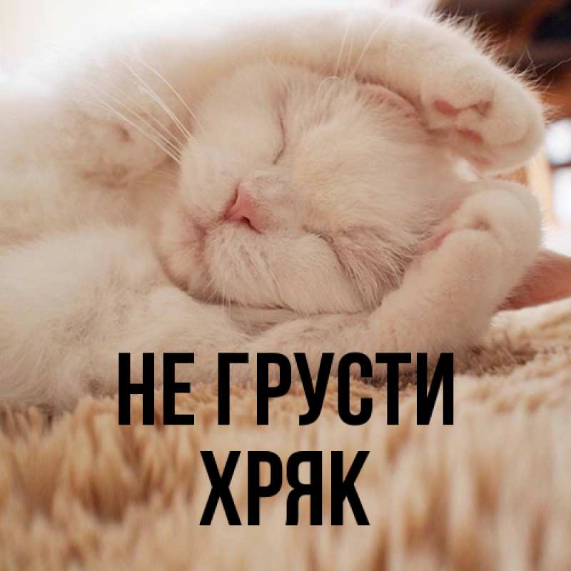 Картинка Не грусти, Хряк