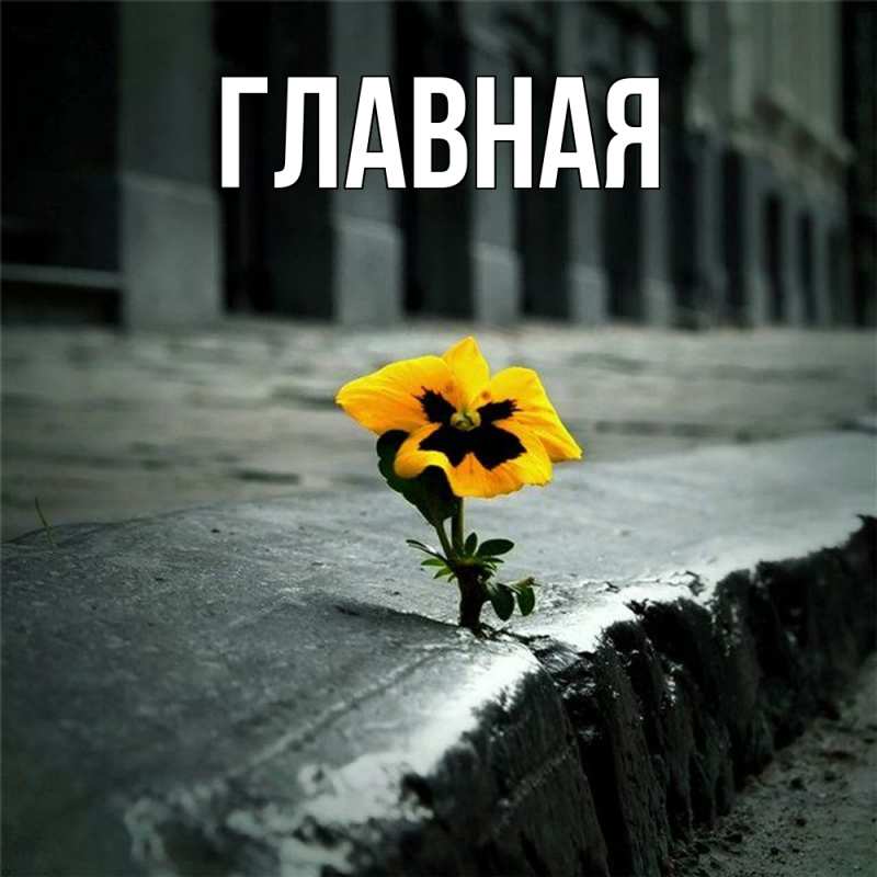 Картинка  с именем , настя