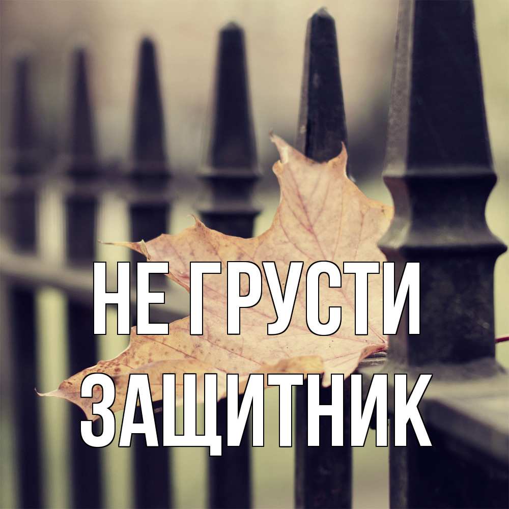 Открытка на каждый день с именем, Защитник Не грусти лист клена Прикольная открытка с пожеланием онлайн скачать бесплатно 