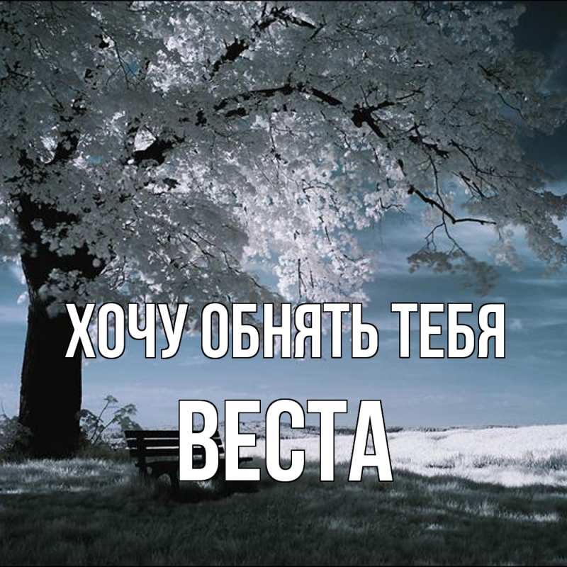 Картинка Хочу обнять тебя, Веста