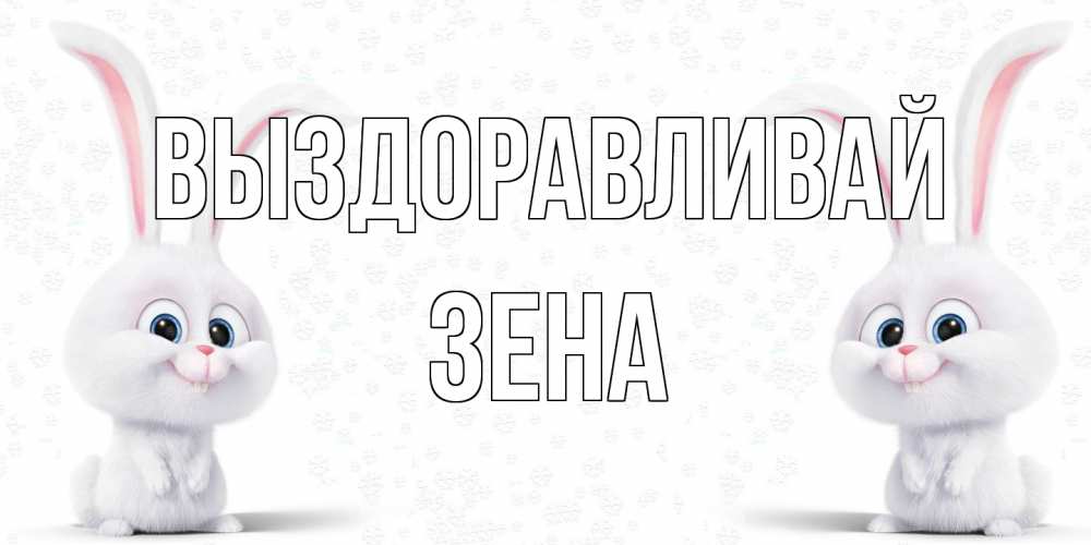 Открытка на каждый день с именем, Зена Выздоравливай не болей с зайцем Прикольная открытка с пожеланием онлайн скачать бесплатно 