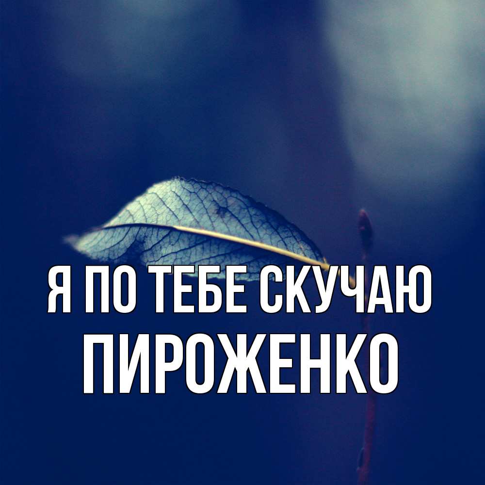 Открытка на каждый день с именем, Пироженко Я по тебе скучаю одна ветка 1 Прикольная открытка с пожеланием онлайн скачать бесплатно 