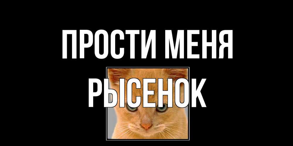 Открытка на каждый день с именем, рысенок Прости меня рыжий грустный кот просит прощения Прикольная открытка с пожеланием онлайн скачать бесплатно 
