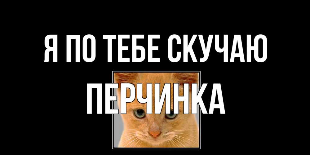 Открытка на каждый день с именем, Перчинка Я по тебе скучаю открытки рыжий котенок скучает по тебе Прикольная открытка с пожеланием онлайн скачать бесплатно 