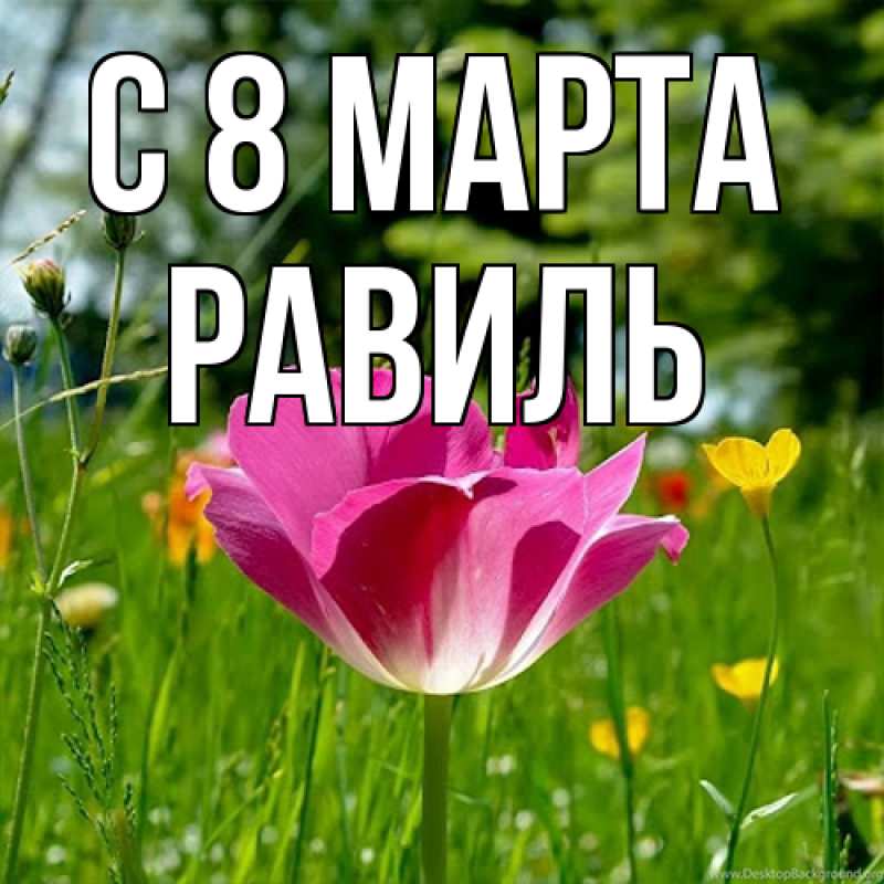 Картинка C 8 МАРТА, Равиль