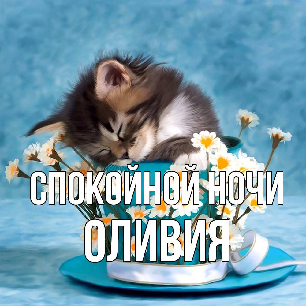 Открытка на каждый день с именем, Оливия Спокойной ночи котенок спит в кружке с блюдцем Прикольная открытка с пожеланием онлайн скачать бесплатно 