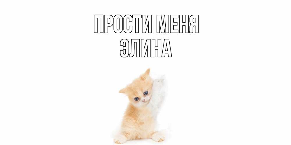 Открытка на каждый день с именем, Элина Прости меня кот Прикольная открытка с пожеланием онлайн скачать бесплатно 
