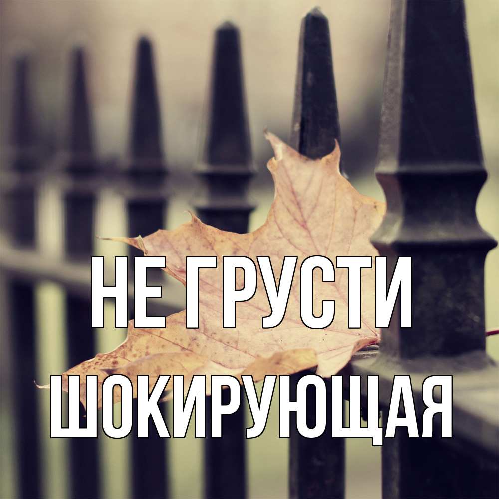 Открытка на каждый день с именем, Шокирующая Не грусти лист клена Прикольная открытка с пожеланием онлайн скачать бесплатно 