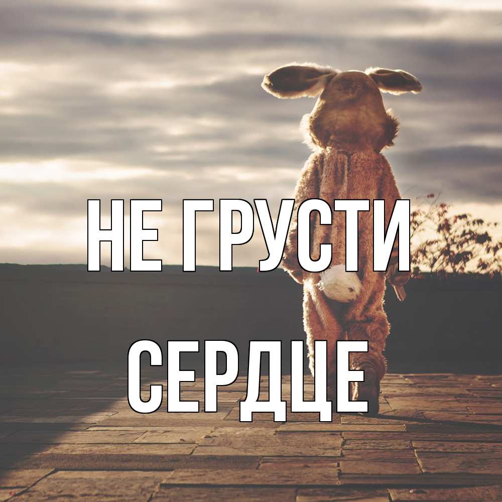 Открытка на каждый день с именем, сердце Не грусти со спины Прикольная открытка с пожеланием онлайн скачать бесплатно 