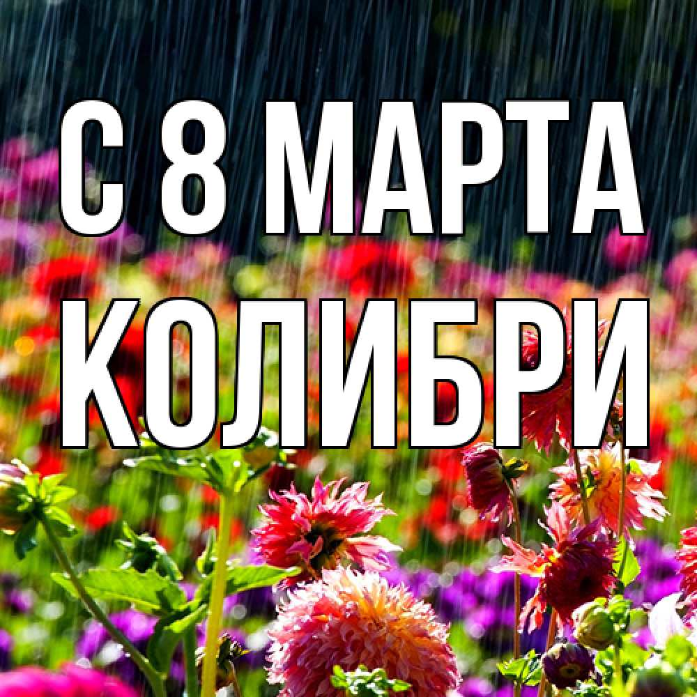 Открытка на каждый день с именем, Колибри C 8 МАРТА цветы под дождиком к международному женскому дню Прикольная открытка с пожеланием онлайн скачать бесплатно 