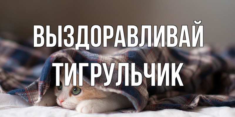 Картинка Выздоравливай, Тигpульчик