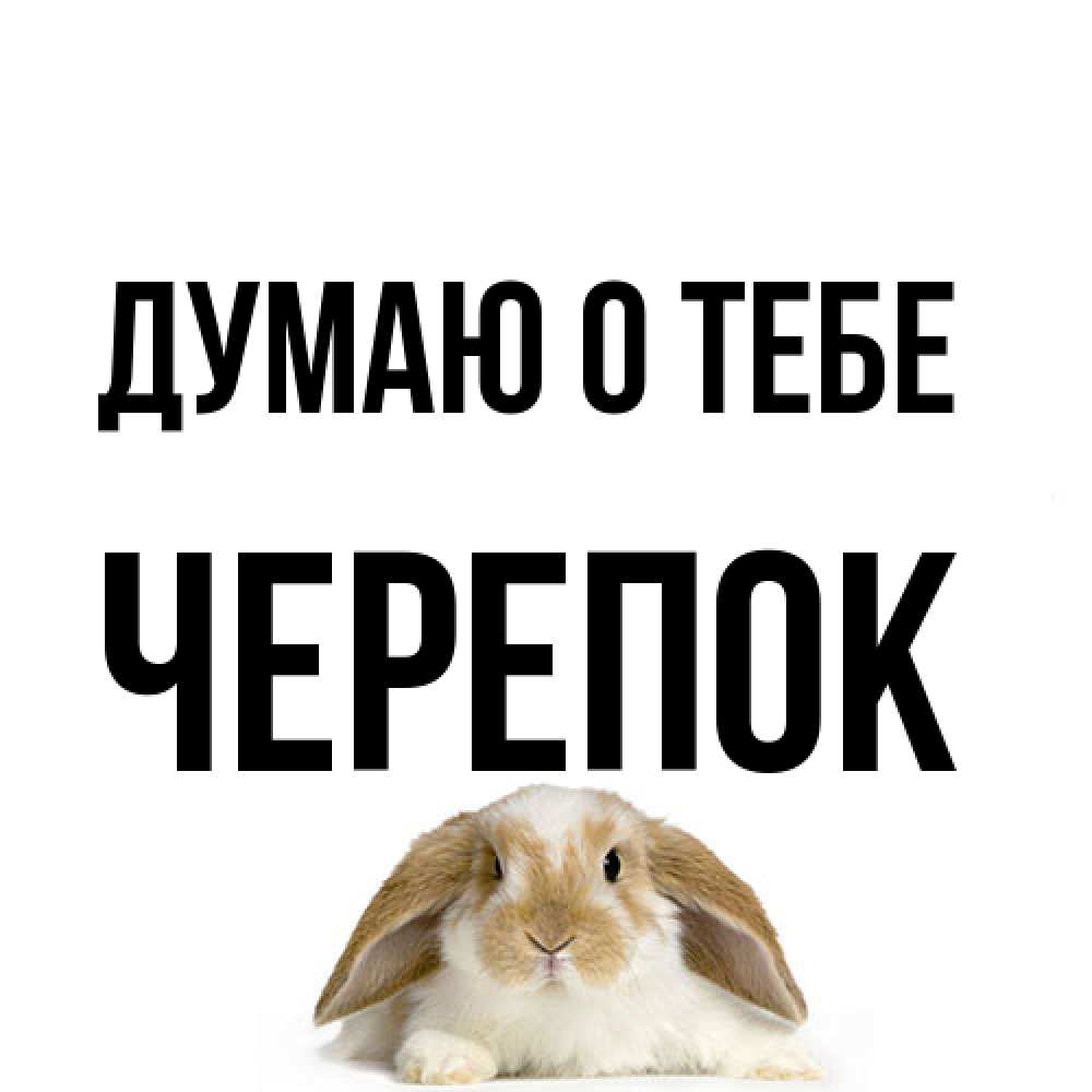 Открытка на каждый день с именем, Черепок Думаю о тебе подписать своими руками онлайн Прикольная открытка с пожеланием онлайн скачать бесплатно 