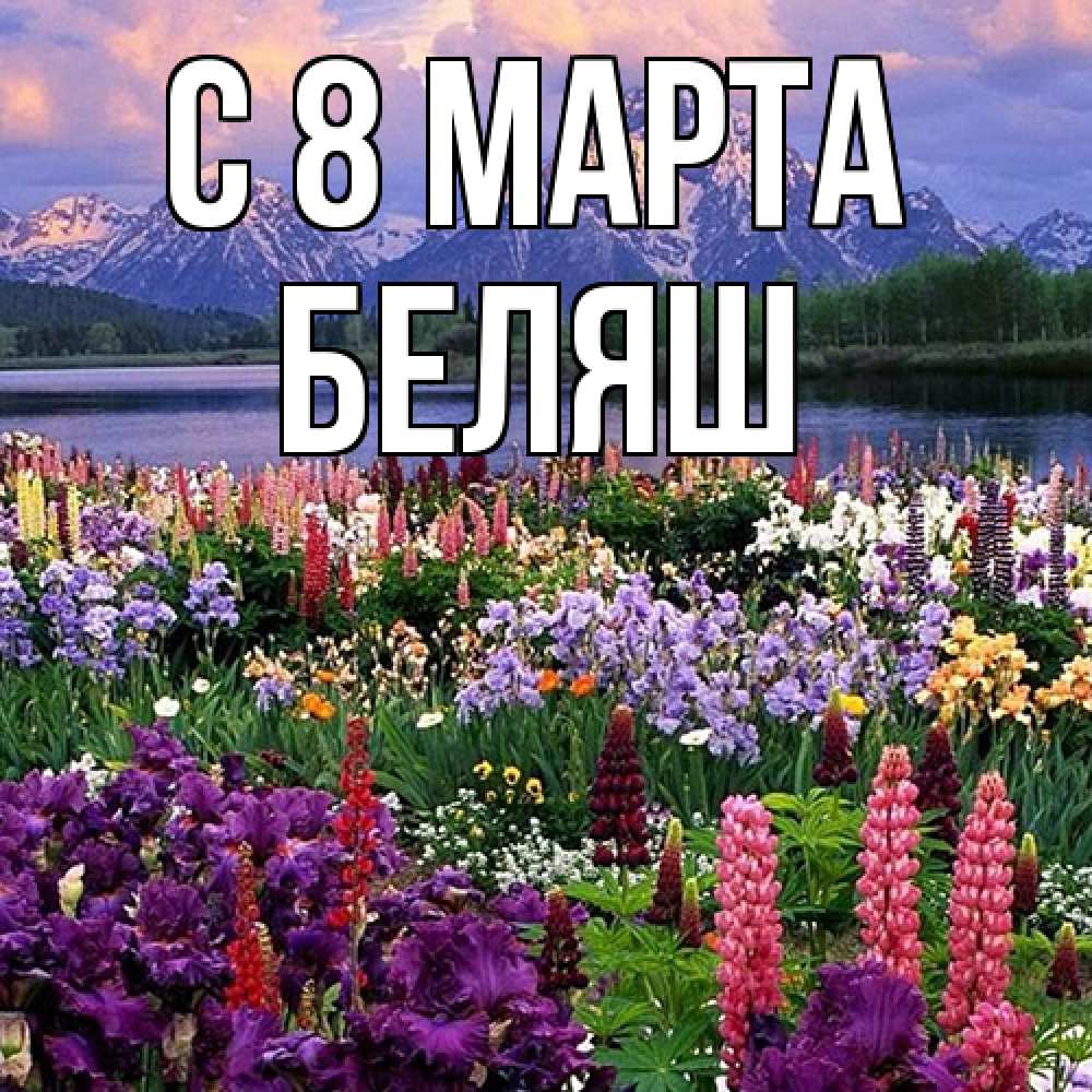 Открытка на каждый день с именем, Беляш C 8 МАРТА международный женский день Прикольная открытка с пожеланием онлайн скачать бесплатно 