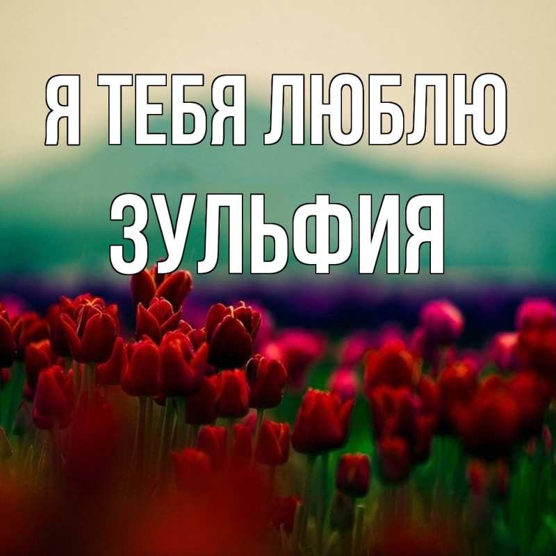 Картинка Я тебя люблю, Зульфия
