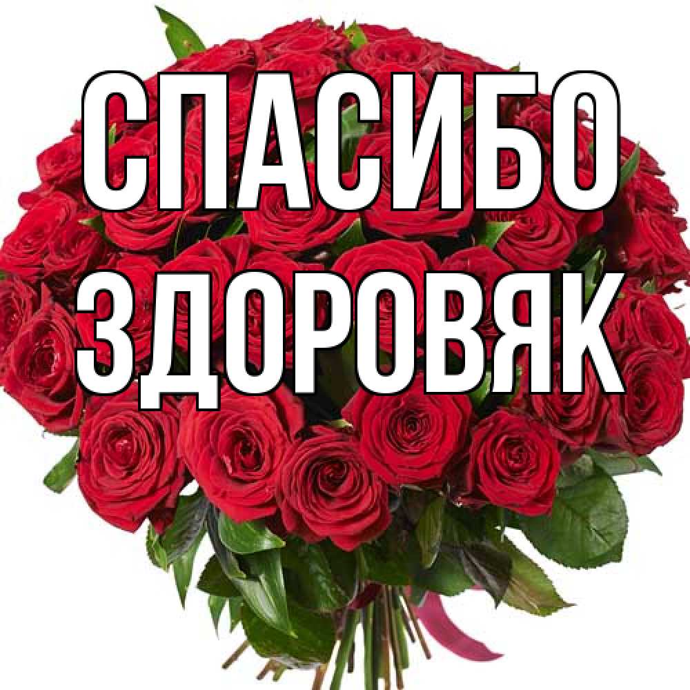 Открытка на каждый день с именем, Здоровяк Спасибо букет красных роз Прикольная открытка с пожеланием онлайн скачать бесплатно 