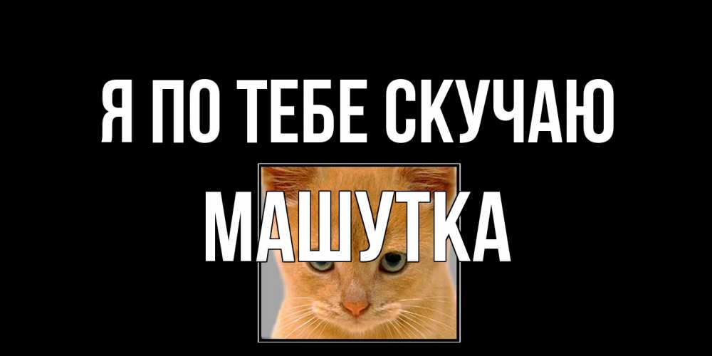 Открытка на каждый день с именем, Машутка Я по тебе скучаю открытки рыжий котенок скучает по тебе Прикольная открытка с пожеланием онлайн скачать бесплатно 
