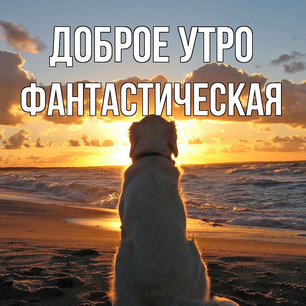 Открытка на каждый день с именем, Фантастическая Доброе утро восход солнца Прикольная открытка с пожеланием онлайн скачать бесплатно 