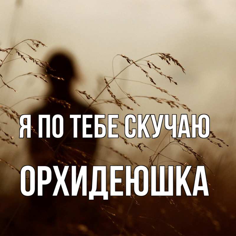 Картинка Я по тебе скучаю, Орхидеюшка