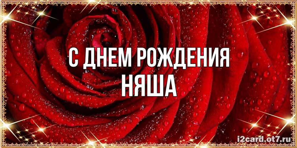 Открытка на каждый день с именем, няша С днем рождения роса на розе блестящая в лучах солнца Прикольная открытка с пожеланием онлайн скачать бесплатно 