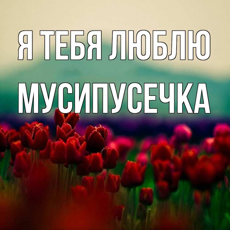 Картинка Я тебя люблю, Мусипусечка