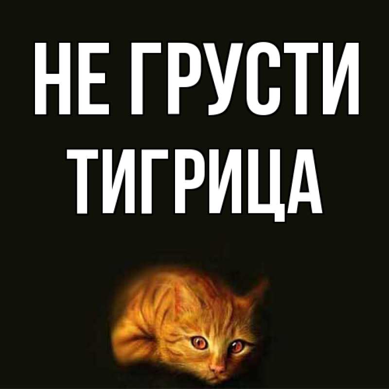 Картинка Не грусти, Тигрица