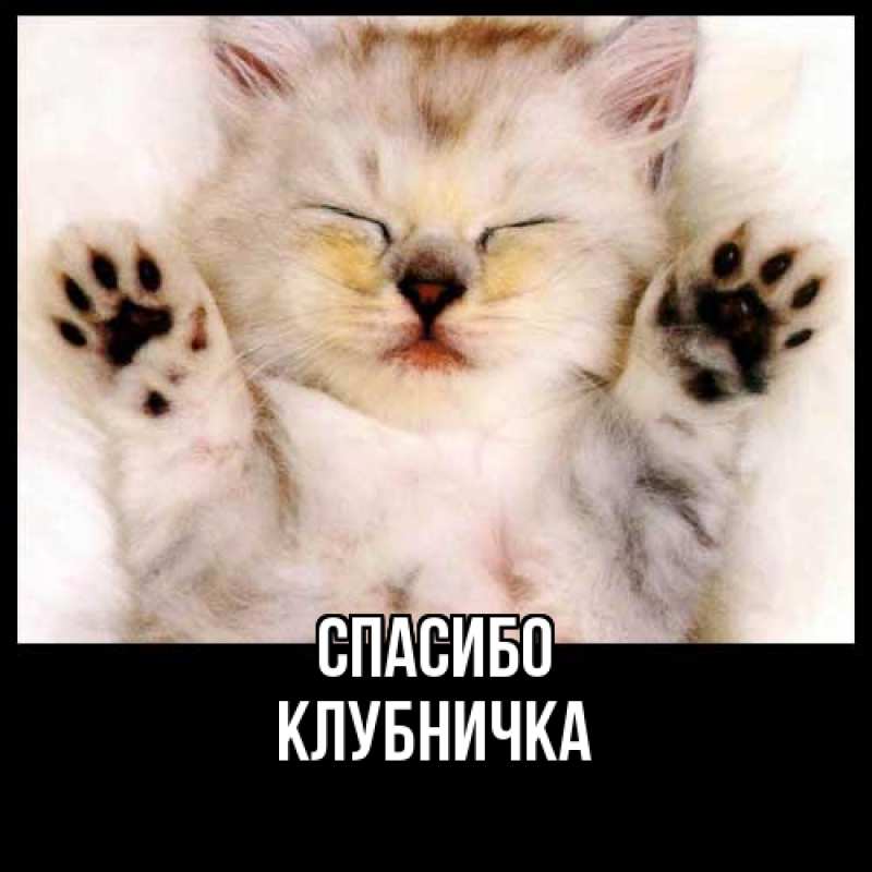 Картинка Спасибо, клубничка