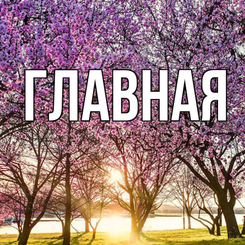 Картинка  с именем , настя